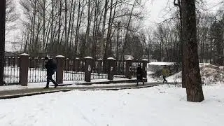 Дачная 9 тропа обзорное