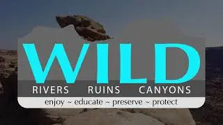 Private Hiking Tours By Wild