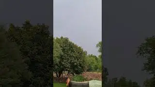 Mera gav / My village #rain #raining #barish #sawan #awesomeviews #villagelife #shortsviral