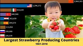 Largest Strawberry Producing Countries in the World 1961-2018