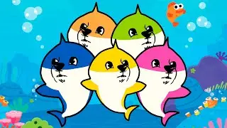 DOGGO SHARK | AnimaCÃO