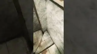 ПРИКЛЮЧЕНИЯ ЯНДЕКС КУРЬЕРА (ЧАСТЬ 4)