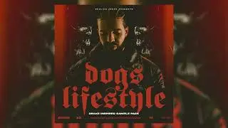 [ROYALTY-FREE] Dogs Lifestyle - Loop Kit, Drum Kit inspired by Drake For All The Dogs Sample Pack