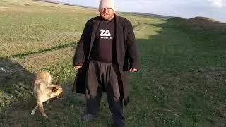 Николай Поломошнов - поющий пастух из Задунаевки о трактористе и его начальнике
