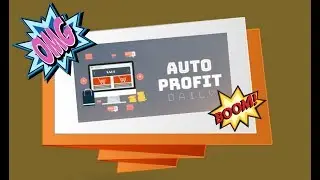 Auto Profit Daily Review