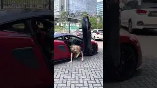 CARA KELUAR YANG BENAR DARI SUPERCARS!! 