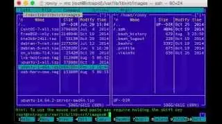Linux copy files with progress bar
