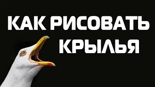 КАК РИСОВАТЬ КРЫЛЬЯ