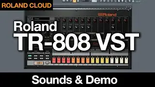 Roland TR-808 VST plugin sounds and patterns - No Talking - Roland Cloud TR-808