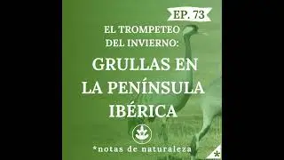 Grullas en la Península Ibérica #73