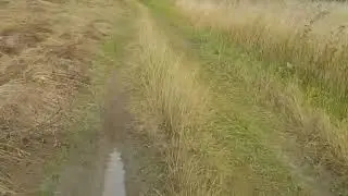 Ижанит на бездорожье