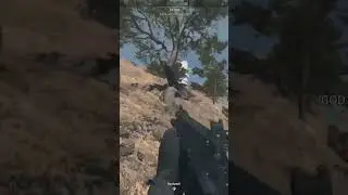 Warzone 2 dancing tree