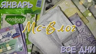 МС - ВЛОГ за Январь! Месячные Продлились 10 дней?!😳😱 Какие ПРОКЛАДКИ Лучше?