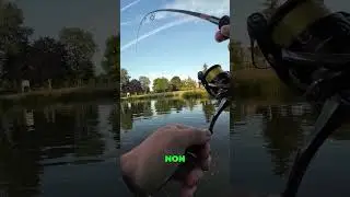 Incroyable pêche! Découverte d'une espèce mystérieuse!