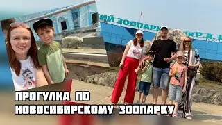 A walk through the Novosibirsk Zoo. Shilo Zoo in Novosibirsk. Family vacation in Novosibirsk.