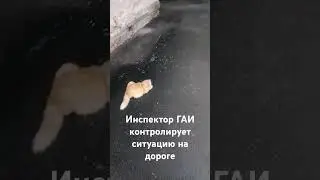 Инспектор ГАИ контролирует ситуацию на дороге