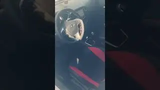 Веста Спорт Lada Vesta sport