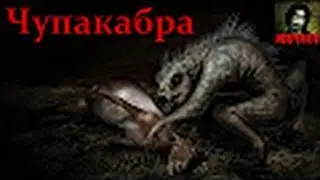 То,от чего стынет кровь׃Чупакабра