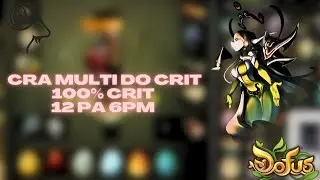 NEW CRA 2.68 100% CRIT 12PA 6PM MULTI - N'IMPORTE QUOI ANKAMA....