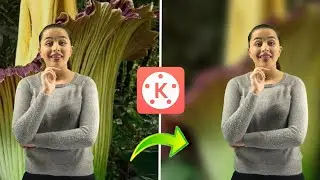 video background blue editing in kinemaster | how to blur video background in kinemaster