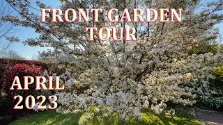 April Front Garden Tour - My English Garden  - 2023