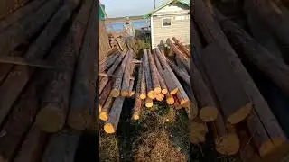 31 августа, стройка на берегу Двины