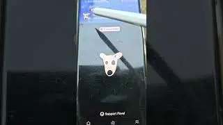 Павел Дуров Дал Заработать на #dogs какая стратегия лучше по заработку на #догс мнение #криптовалюта