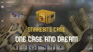 csgo / snakebite 1 case unboxing / lucky rare special item