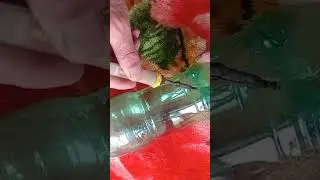 Trash to treasure /life hacks
