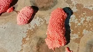 #satisfying