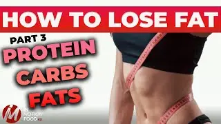 How to lose fat - part 3 how much protein carbs and fats do you need?