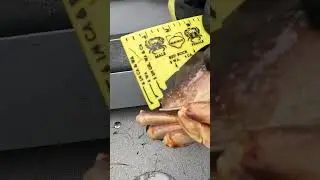 We Pulled A CRAB TRIPLE?