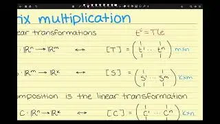 Vector101 Lecture 8
