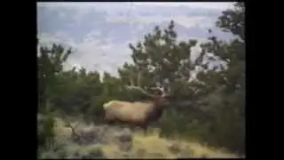How to: Call in Elk Using the Power Bugle  (Wyoming Thunder Bulls)