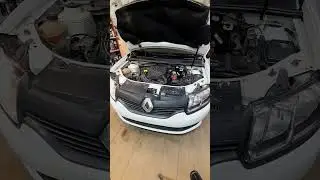 Правильная работа двигателя Рено логан 1.6, 8кл. #love #catlover #techno