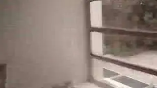 casa libre