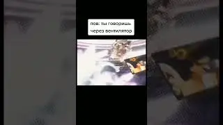 тикток Джоджо мемы 