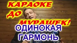 ОДИНОКАЯ ГАРМОНЬ! КАРАОКЕ ДО МУРАШЕК!