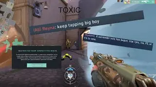 How to shut up TOXIC players in Valorant and Apex