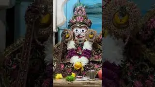 ISKCON Boston Deities - 11/20/2024