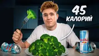 I spent 100 hours on the toughest diet in the world.