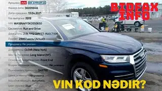 Vin Kod nədir?  Maşının Vin kodunu necə yoxlamaq olar    