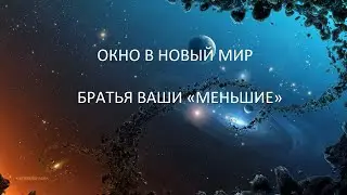 ОКНО В НОВЫЙ МИР ,  БРАТЬЯ ВАШИ «МЕНЬШИЕ»