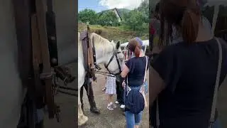 Ambiance festive à la fête de la moisson dimanche dernier à Fréland ! #tradition #folklore #alsace