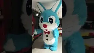 Поздравление от зайца «УШАСТИКА» ❤️❤️❤️😂