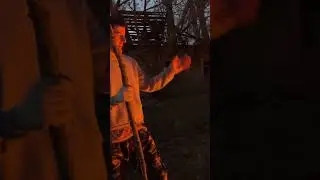 Утилизируем древесину 