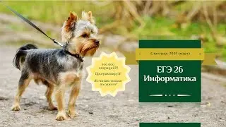 Разбор задачи  ЕГЭ 26 по информатике, статград март 2021 (на полмиллиарда операций!)