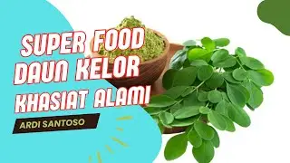 Khasiat Ajaib Daun Kelor dan cara termudah menanamnya