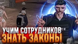 УЧИМ СОТРУДНИКОВ ЗНАТЬ ЗАКОНЫ НА MAJESTIC RP / GTA5RP