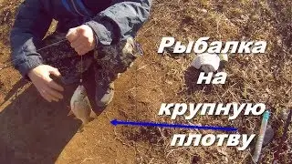 Рыбалка на ОГРОМНУЮ плотву Весной.Первый выезд на рыбалку весной